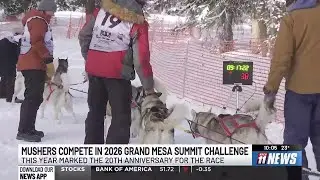 Dog racers compete in 2026 Grand Mesa Summit Challenge