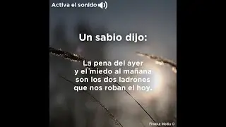 Un sabio dijo