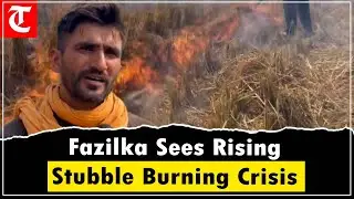 Stubble Burning Continues In Fazilka, Punjab, Raising Air Pollution Concerns