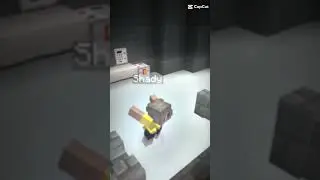 SHADY lol #minecraft #shady #shadytv