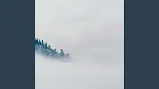 Myzt