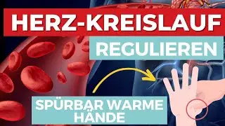 Herz-Kreislauf mithilfe der TCM regulieren - Sofort warme H&auml;nde