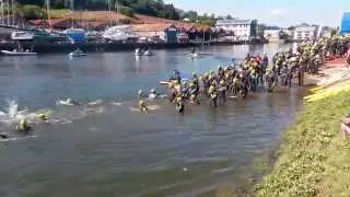 River Dart 10K Swim 2015