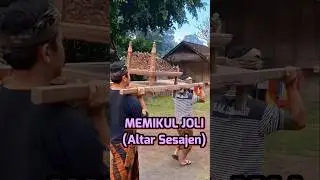 Memikul Joli-Altar Sesajen, Desa Adat Tenganan Dauh Tukad, Karangasem Bali #shorts #short #ayagi