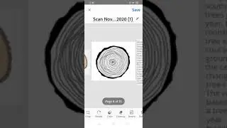 Characteristics of growth rings