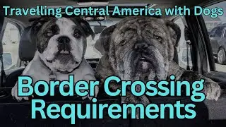 BORDER CROSSING with DOGS | Mexico, Guatemala, El Salvador, Honduras & Nicaragua | Travel with DOGS