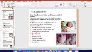 Newborns