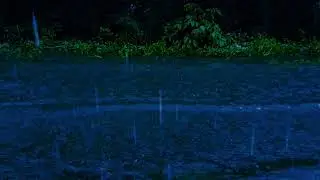 Soft Storm Rain on Window with Distant Thunder for Peaceful Sleep and Relaxation