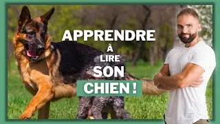 Apprendre &agrave; lire son chien ! Une connerie ou une vrai tactique de dressage de chien ?