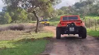 Epic Exit! Wild Buggers Leave 