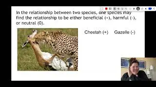 1-15 Species Relationships 1.1