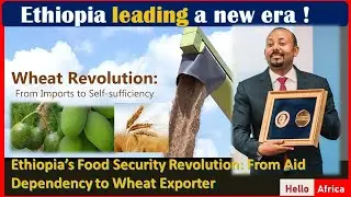 Ethiopia's NEW ERA ! Ethiopia’s Food Security Revolution: From Aid Dependency to Wheat Exporter!