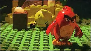 Angry bird: fight for the eggs