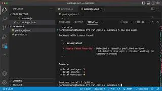 Stop Installing Bad npm Packages &mdash; Use npq Instead