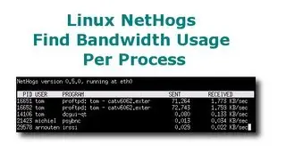 Linux: Nethogs Tool Find Bandwidth Usage Per Process (PID)