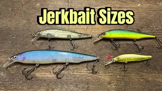 How Bass React To Different Jerkbait Sizes…
