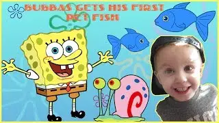 SpongeBob in NEW TANK! Bikini Bottom Fish Tank | The Bubbas Adventure Show |