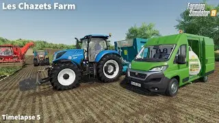 Sugar Beet Harvesting using Holmer Exxact & Rolland Trailers│Les Chazets│FS 19│Timelapse #05