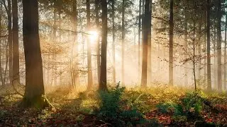 Yeshua Seeing The Spirit Of God Within You