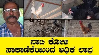 ನಾಟಿ ಕೋಳಿ ಸಾಕಾಣಿಕೆಯಿಂದ ಅಧಿಕ ಲಾಭ ಪಡೆಯಿರಿ | Nati Koli Farming