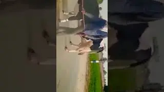 Farisan Cow.🇵🇰🐄👌🇵🇰 #sorts #shortvideo #shortvideos #viral #shortvideo
