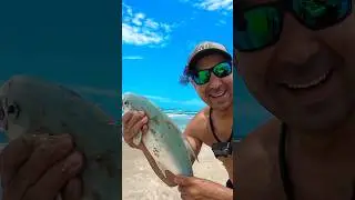How to catch pompano using long rods 🎣🔥