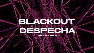 BLACKOUT x DESPECHA - Emilia, TINI, Nicki Nicole, Rosalia (Wiwi Mashup)