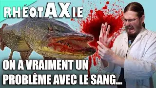 💬 Combien de Poissons en France, Salive de Brochet et Encore du Sang ! - FAQ des P&ecirc;cheurs Curieux 01