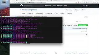 How to use the terminal with github