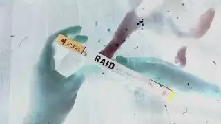 Raid World War II PS4 Unboxing (Flash Warning)