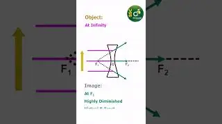 Exploring Concave Lenses with Abhipedia | SSC Abhipedia Insights #ytshorts