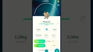 meowth evolve into perrserker in #pokemongo | #pokemonshorts #viral #meowth #evolve #perrserker #pvp