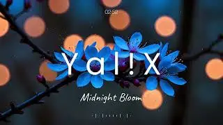 Yal!X - Midnight Bloom