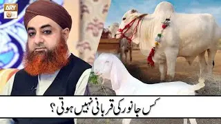 Kis Janwar Ki Qurbani Nahi Hoti ? | Mufti Akmal | Islamic Information | ARY Qtv