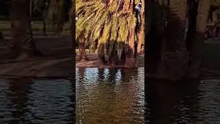 Lagos de Palermo, Buenos Aires, Argentina