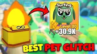NEW Summer BEST Pet Stat Glitch in Mining Simulator 2