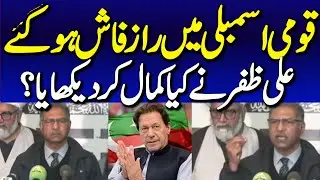 PECA Act Amendment Bill Passed by Senate | PTI Senators Barrister Ali Zafar, Allama Raja Nasir