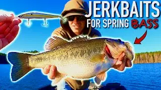 Fishing Jerkbaits for SPRING BASS (Jerkbait Tips & Tricks)
