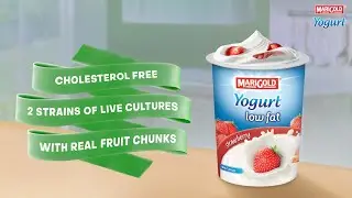 Creamy, Fruity Goodness | MARIGOLD Yogurt