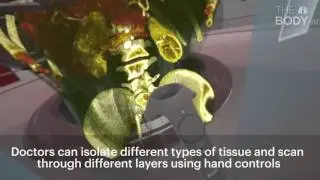 The Body VR: Anatomy Viewer - Teaser