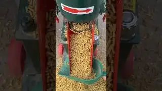 👉🌽#New Model 200 Feed Pellet Mill with Rotating Pressure Roller but Non-Rotating Grinding Disc#food