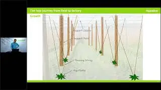 HOPPY TOPICS &ndash; What you always wanted to know about hops but never dared asking
