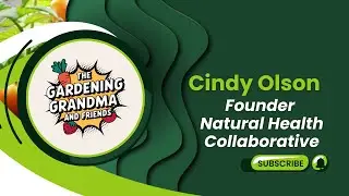 Introducing Cindy Olson of the Natural Health Collaborative