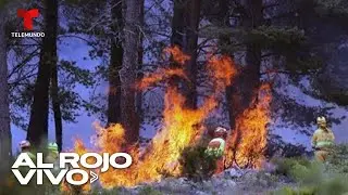Más de 600 bomberos combaten incendios forestales en Zamora, España | Al Rojo Vivo | Telemundo