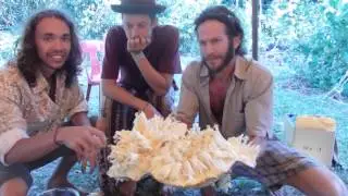 Sharing the tropical fruit experience