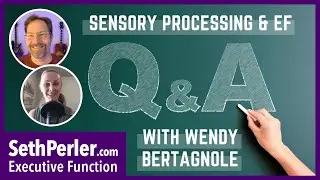 Wendy Bertagnole and I talk Sensory Processing and Executive Function