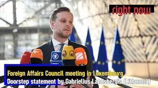 [ENG] Doorstep statement by Gabrielius Landsbergis (Lithuania). Foreign Affairs Council meeting.