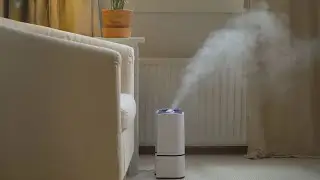 Why you need a humidifier for this cold weather | 2 Wants To Know