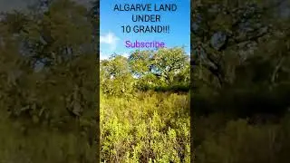 Algarve Land For Sale UNDER 10.000e SUBSCRIBE to Find Out More #portugal