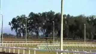 Zambucca.WMV